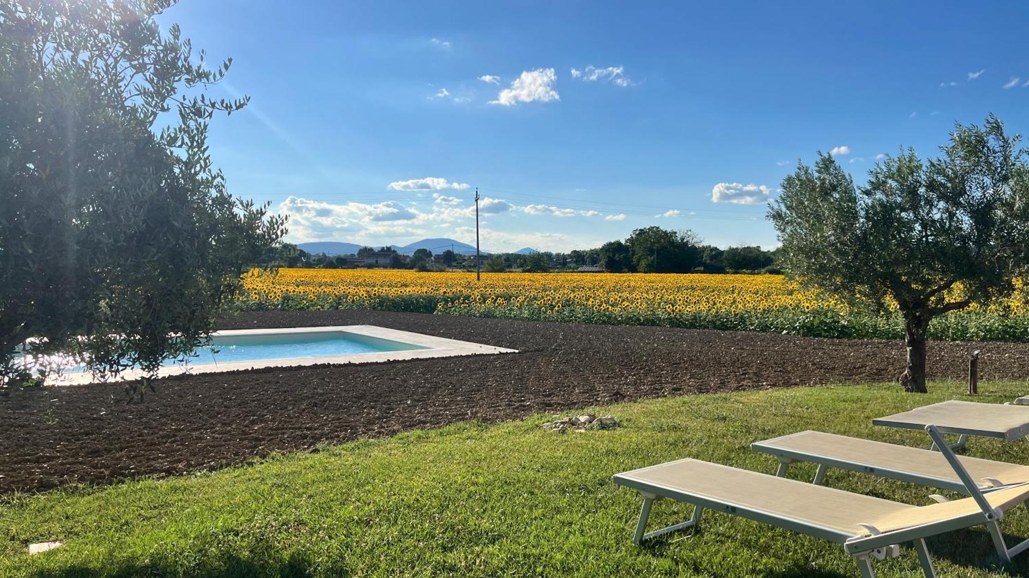 Assisium Agriturismo מראה חיצוני תמונה