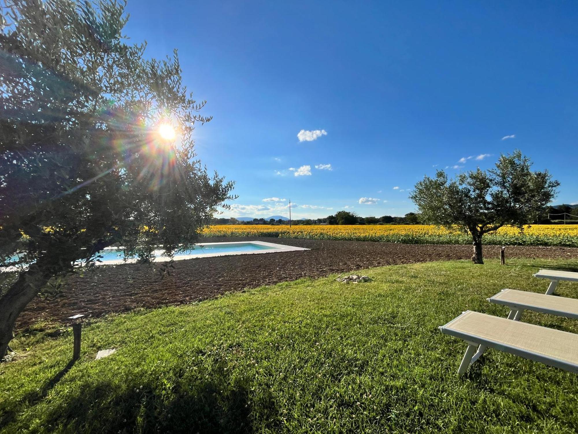 Assisium Agriturismo מראה חיצוני תמונה