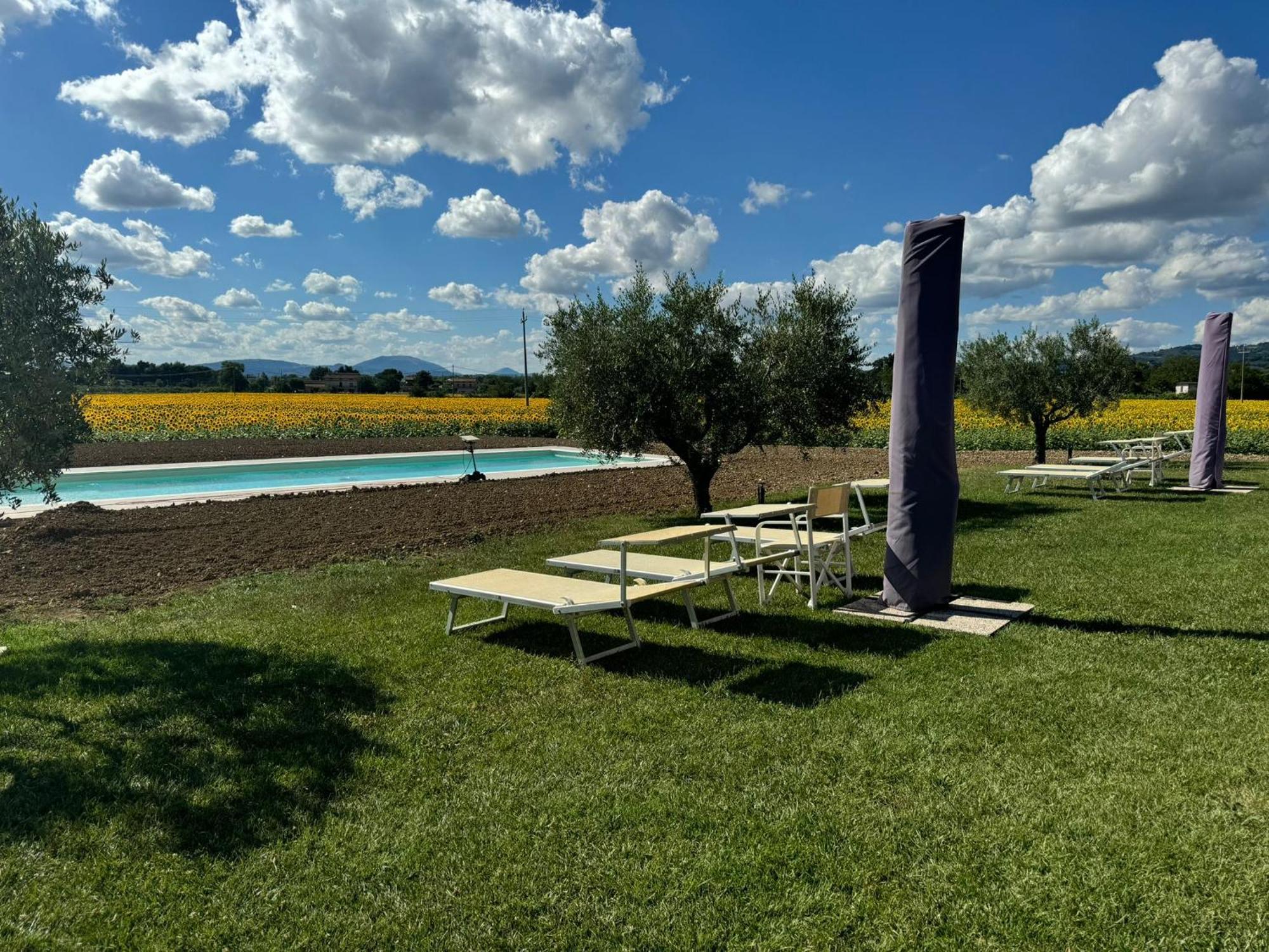 Assisium Agriturismo מראה חיצוני תמונה