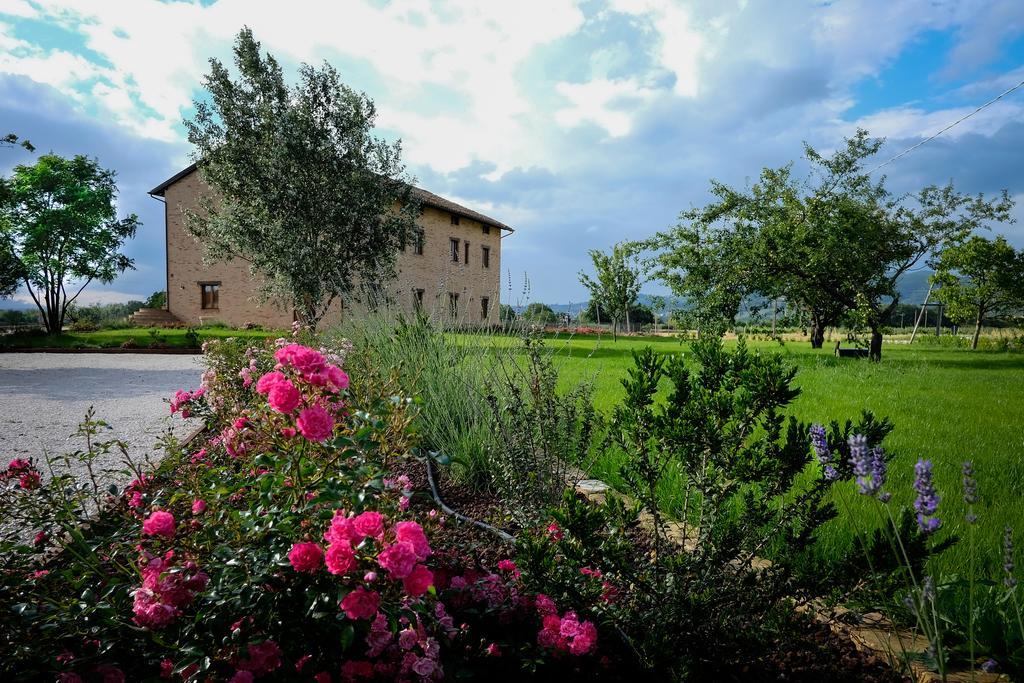 Assisium Agriturismo מראה חיצוני תמונה