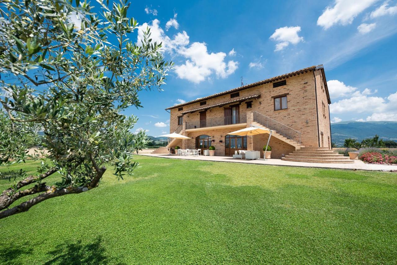 Assisium Agriturismo מראה חיצוני תמונה